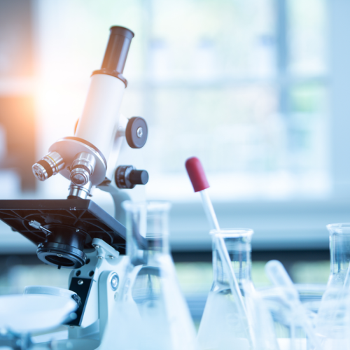 scopri-il-nuovo-sito-960-960-px-1920-960-px-1920-1280-px scopri-il-nuovo-sito-960-960-px-1920-960-px-1920-1280-px